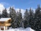 Bergdiamant