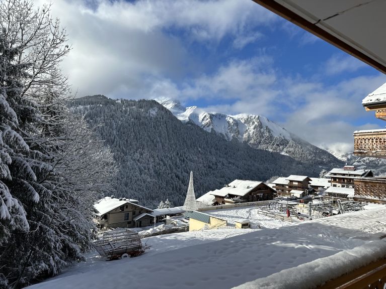 Chalet-appartement l'Alchimie