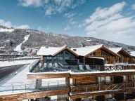 Chalet-appartement Das Neukirchen Penthouse Type 2a-66