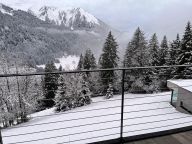 Chalet du Saix-18