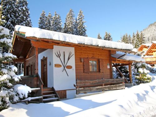 Chalet Munterhütte 8 personen Tirol