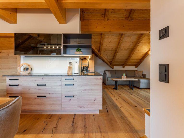 Appartement AlmApART 8-3 / Penthouse