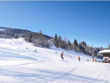 Skidorp Klein dorpje op rijafstand van Kaprun en Zell am See-2