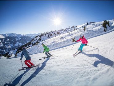 Skidorp Centraal gelegen wintersportdorp met veelzijdig skigebied-3