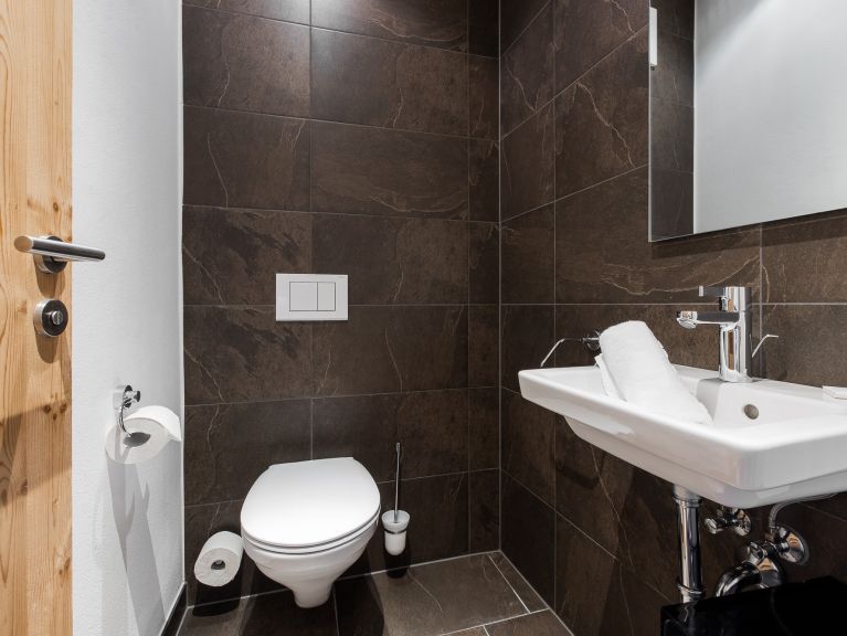 Chalet-appartement Wildkogelresorts Penthouse Type IIb