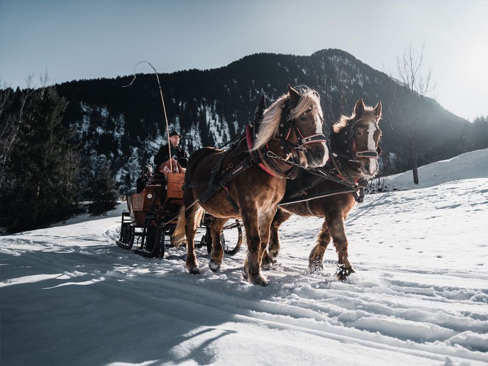 © Zillertal Tourismus / Christoph Johann