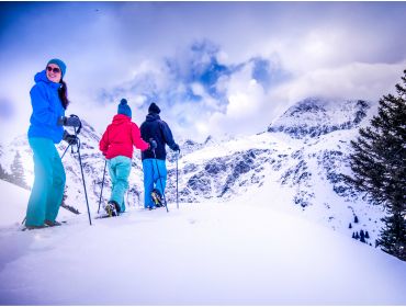 Skidorp Modern wintersportdorp met kuurvoorzieningen en ruim cultureel aanbod-7