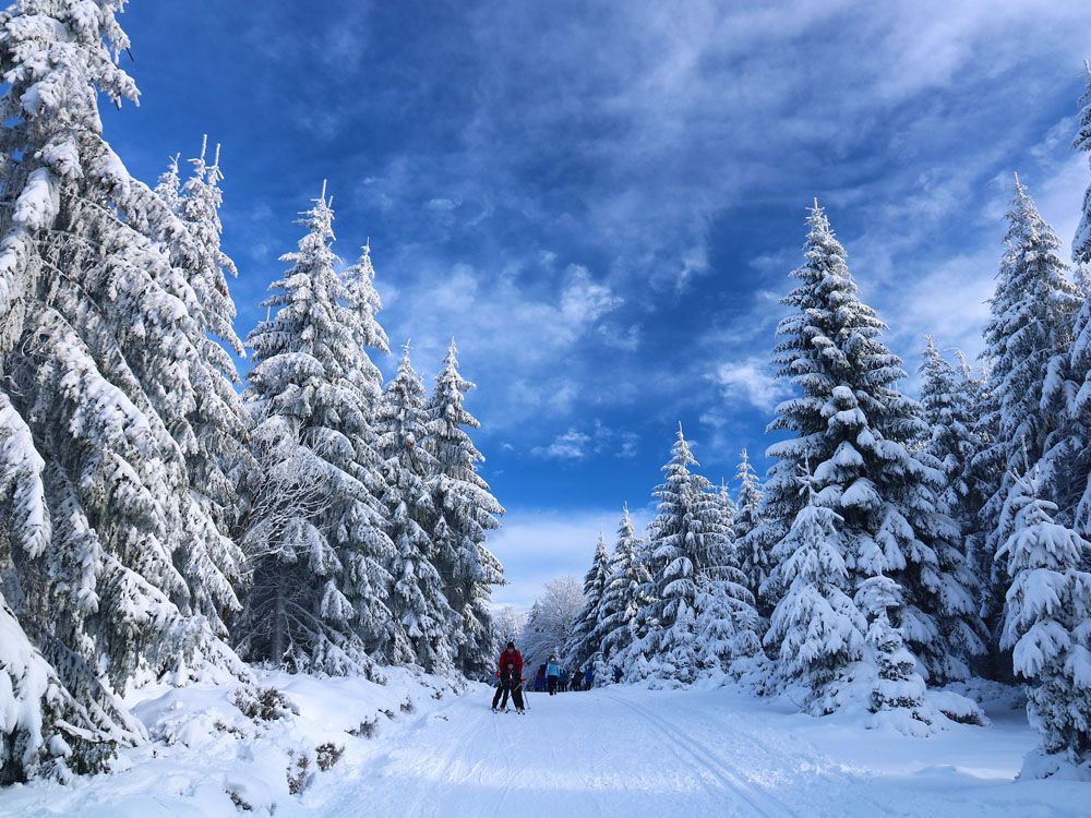 Skiën in Zell am See - Van wanneer tot wanneer kun je skiën?