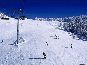 Skidorp Authentiek Frans wintersportdorpje vlakbij de grens met Zwitserland-4
