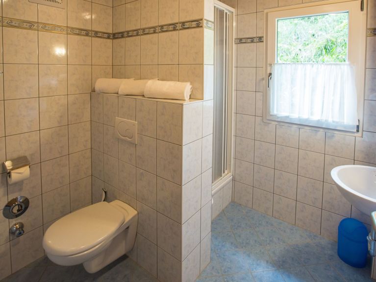 Chalet Alpendorf Dachstein-West Gamsblume