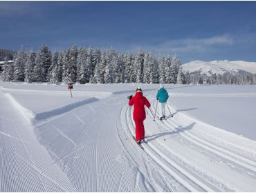 Skidorp Klein, maar kindvriendelijk wintersportdorpje in het Zillertal-11