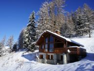 Chalet de Bellecôte Type 2, Polman Mansion met sauna-26