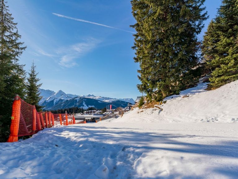 Chalet H Königsleiten