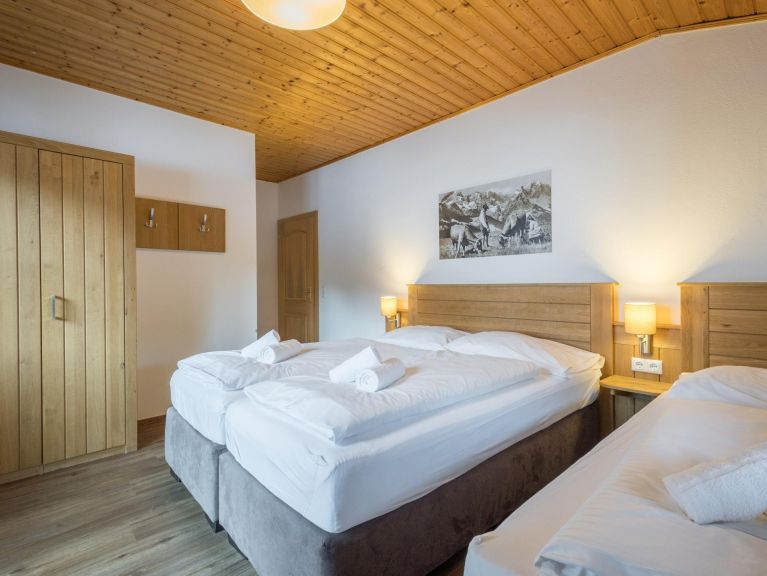 Appartement Alpensteinbock Type C