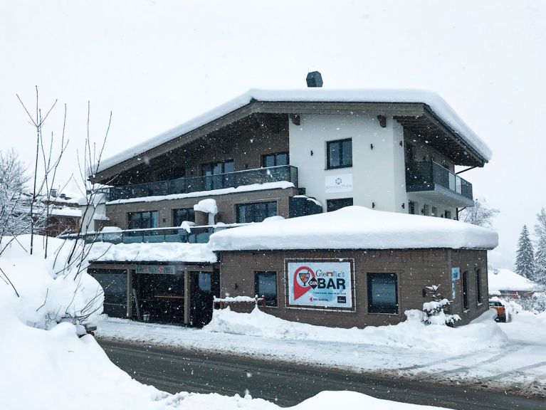 Appartement Kristall Plaza Niederau