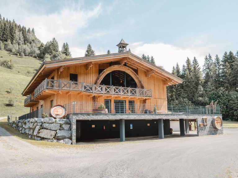Chalet-appartement Fassl