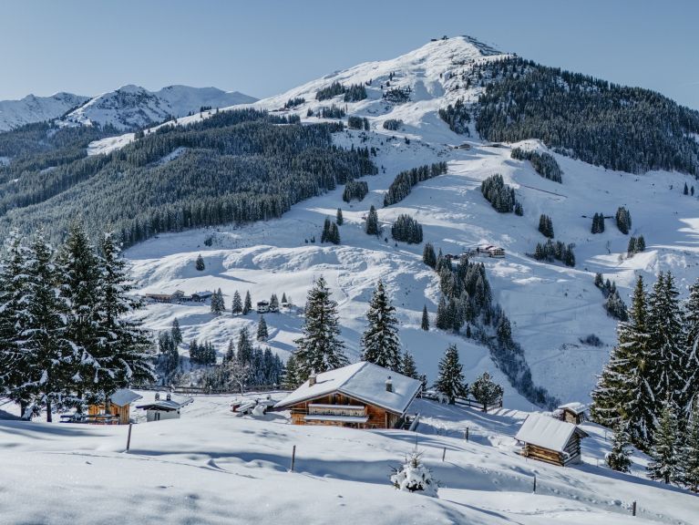 Chalet Buchegg Alm