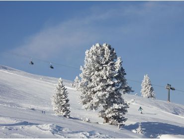 Skidorp Klein, maar kindvriendelijk wintersportdorpje in het Zillertal-8