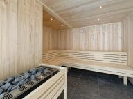Appartement Club MMV Samoëns Village bergzicht-22