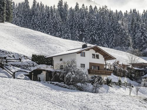 Chalet Linden Platzl