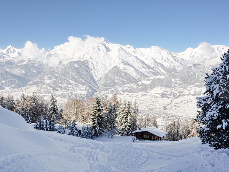 Chalet Les Pivoines