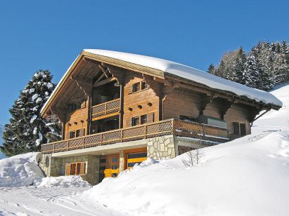 Chalet Les Flats-1