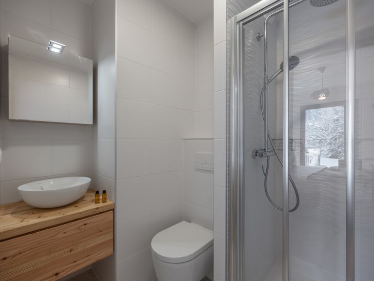 Chalet-appartement l'Alchimie