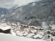 Appartement Residence Zillertal Type A2-9