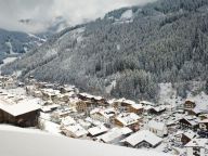 Appartement Residence Zillertal Type C3-17