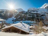Chalet-appartement Eagle Lodge met whirlpool-18
