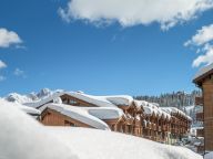 Appartement Les Chalets du Forum met cabine-22