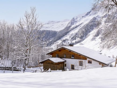 Chalet Barney - 12-16 personen in Rauris - Rauriser Hochalm, Oostenrijk foto 8550524