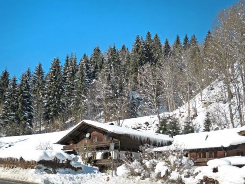 Appartement Eusch 4 6 personen Salzburgerland