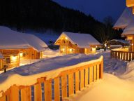 Chalet Almwelt Austria Wilderer-10