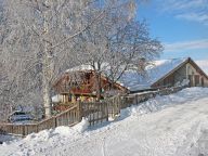 Chalet de Claude met sauna en outdoor hot tub-24