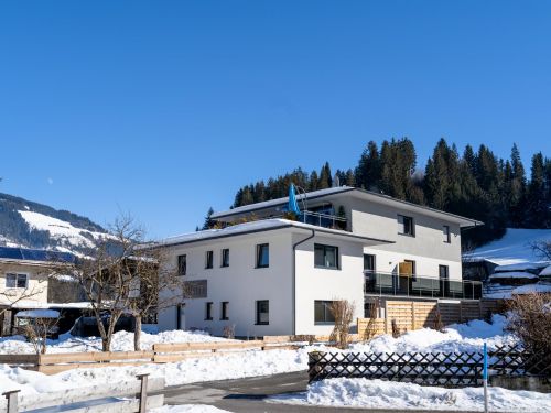 Appartement Schorsch 8 12 personen Tirol