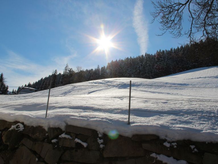Chalet Katharina