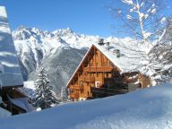 Chalet-appartement Des Neiges Comfort-32