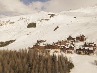 Chalet-appartement Montagnettes Hameau de la Sapinière met cabine-19