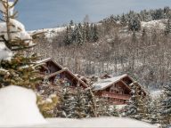 Appartement Les Fermes de Méribel-27