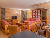 Chalet-appartement Les Balcons de Belle Plagne-4