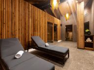 Chalet-appartement Das Neukirchen Maisonette Penthouse Typ 3b - met privé sauna-54
