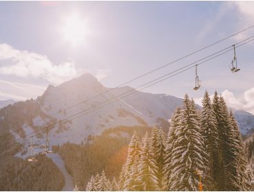 Skidorp Authentiek en levendig wintersportdorp bij Les Portes du Soleil-9