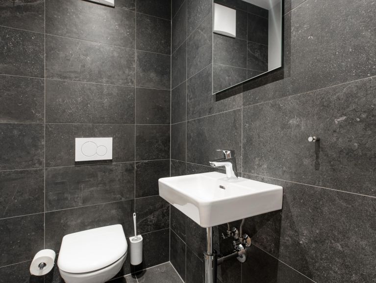 Chalet-appartement Das Neukirchen Type 3b