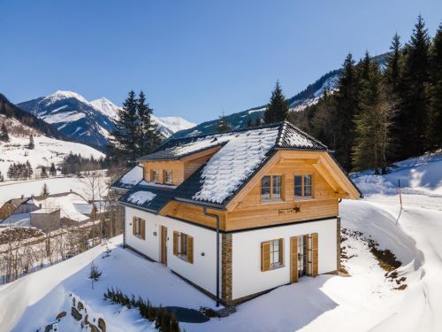 Chalet Riesneralm Chalets Karibu - 8-10 personen