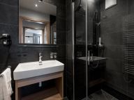 Chalet-appartement Das Neukirchen Type 3b-19