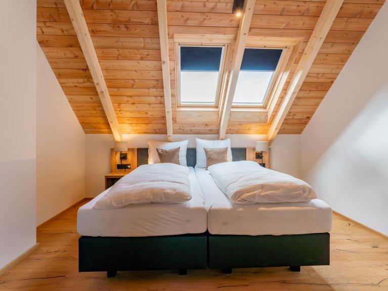 Chalet Mountain Chalet Alpinchique