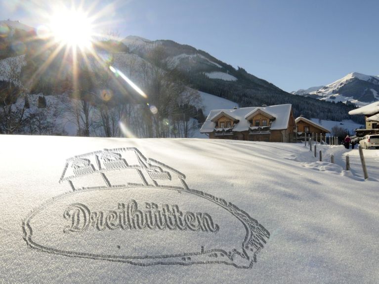 Chalet DreiHittn Steinbock