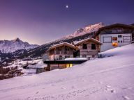 Chalet-appartement The Peak Ötztaler Alpen-21