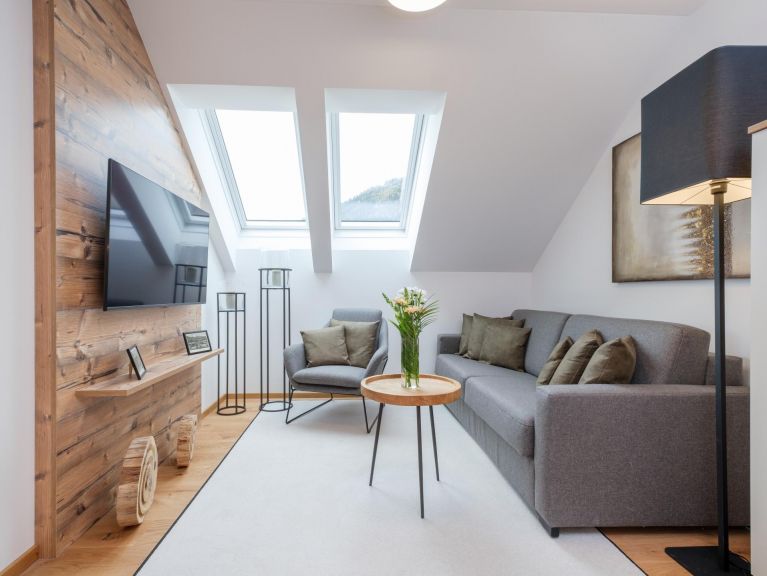 Appartement Ski & Nature Penthouse